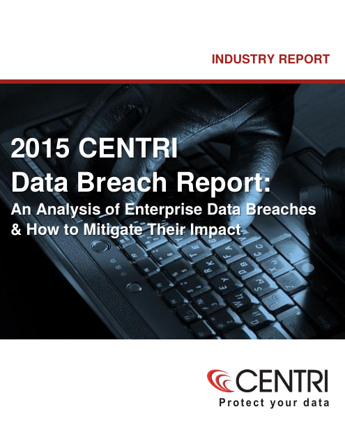image from 2015 Centri Data Breach Report