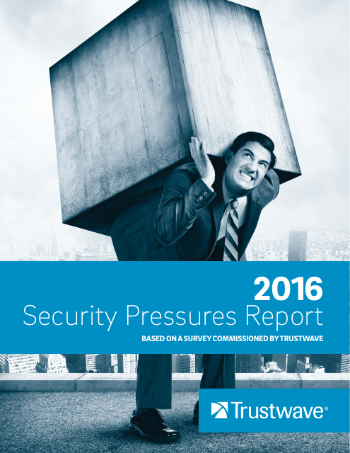 image from 2016 Security Pressures Report