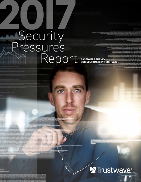 image from 2017 Security Pressures Report