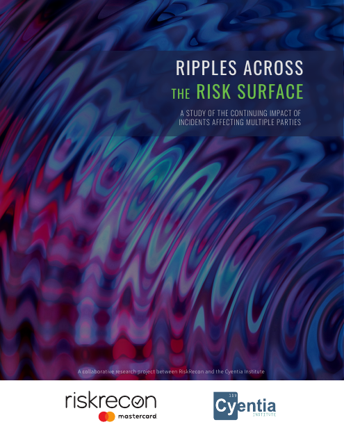 image from Ripples Across the Risk Surface: 2021