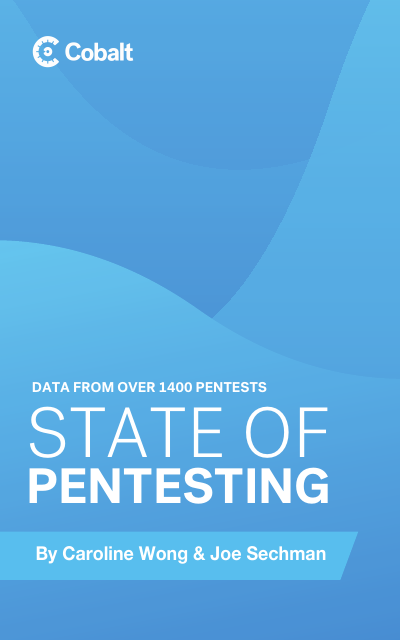 image from The State of Pentesting 2019