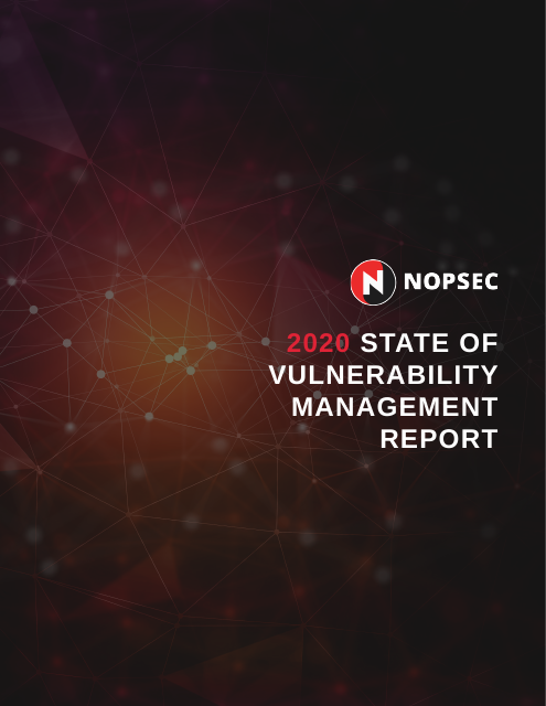 image from 2020 State of Vulnerability Management Report