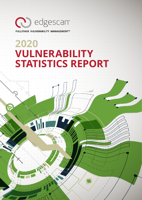 image from 2020 Vulnerability Statistics Report