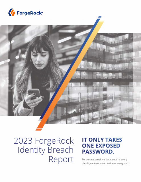 image from 2023 ForgeRock Identity Breach Report