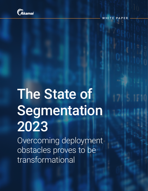 image from The State of Segmentation 2023 