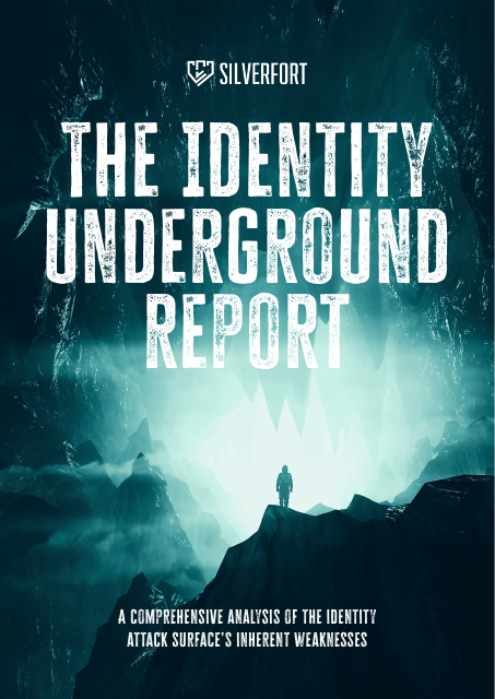 image from The Identity Underground Report 