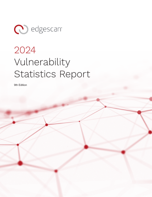 image from The 2024 Vulnerability Statistics Report 
