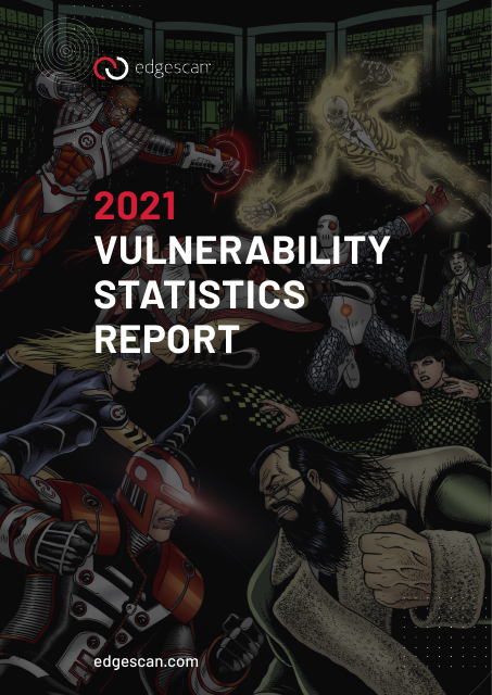 image from 2021 Vulnerability Statistics Report  