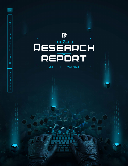 image from runZero Research Report Vol. 1 May 2024