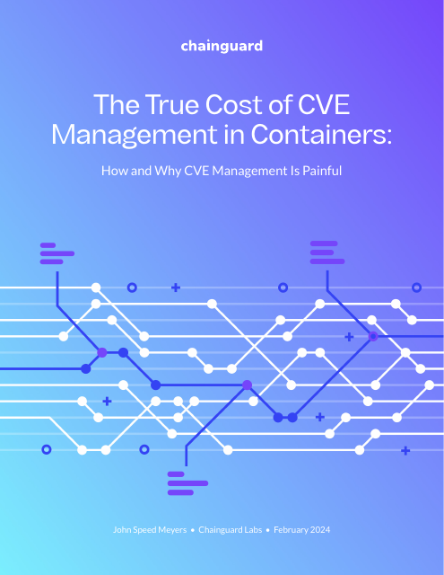 image from The True Cost of CVE Management in Containers