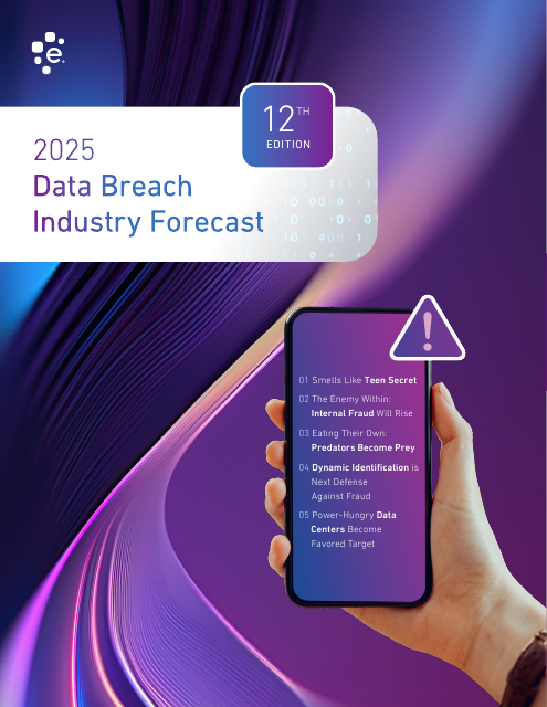 image from 2025 Data Breach Industry Forecast