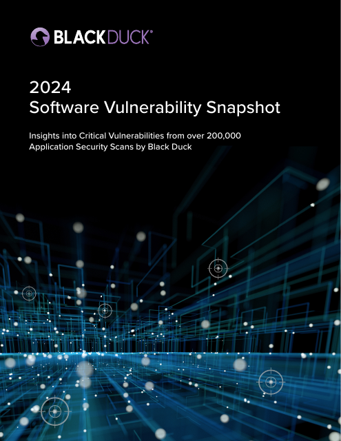 image from 2024 Software Vulnerability Snapshot